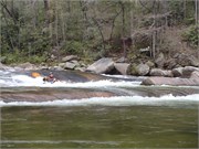 Wilsons Creek 39